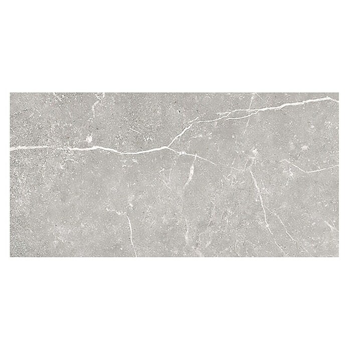 Tau ceramica Keramische tegel Soapstone Silver (30 x 60 cm, Silver, Mat) | BAUHAUS