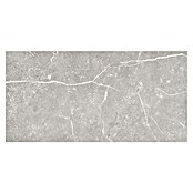Tau ceramica Keramische tegel Soapstone Silver (30 x 60 cm, Silver, Mat) | BAUHAUS