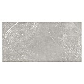 Tau ceramica Keramische tegel Soapstone Silver (30 x 60 cm, Silver, Mat) | BAUHAUS