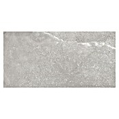 Tau ceramica Keramische tegel Soapstone Silver (30 x 60 cm, Silver, Mat) | BAUHAUS