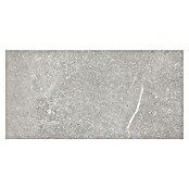 Tau ceramica Keramische tegel Soapstone Silver (30 x 60 cm, Silver, Mat) | BAUHAUS