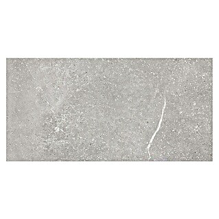 Tau ceramica Keramische tegel Soapstone Silver (30 x 60 cm, Silver, Mat)