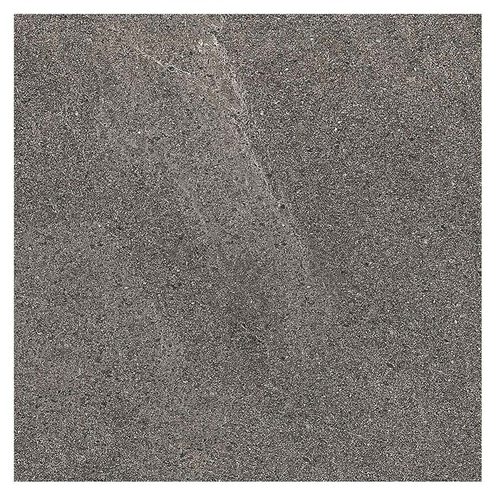 Tau ceramica Keramische tegel Fidenza Graphite (60 x 60 cm, Graphite, Mat) | BAUHAUS
