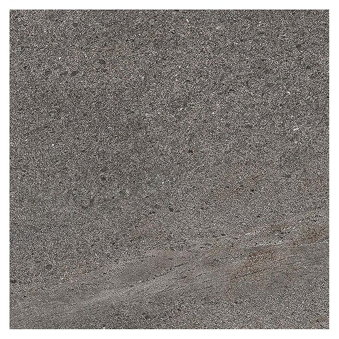 Tau ceramica Keramische tegel Fidenza Graphite (60 x 60 cm, Graphite, Mat) | BAUHAUS