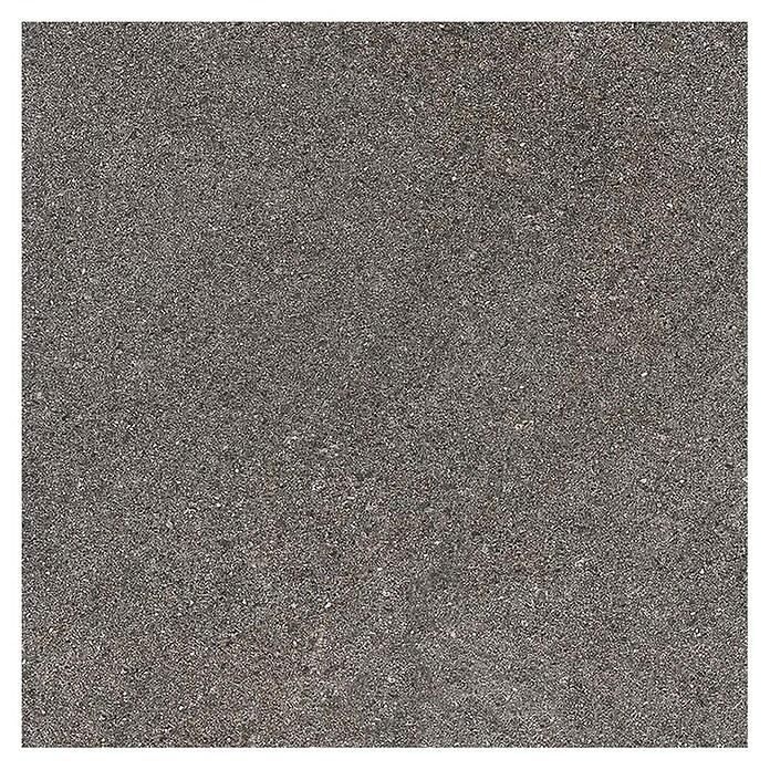 Tau ceramica Keramische tegel Fidenza Graphite (60 x 60 cm, Graphite, Mat) | BAUHAUS