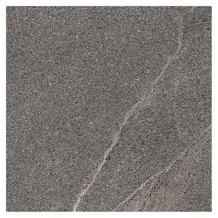 Tau ceramica Keramische tegel Fidenza Graphite (60 x 60 cm, Graphite, Mat) | BAUHAUS