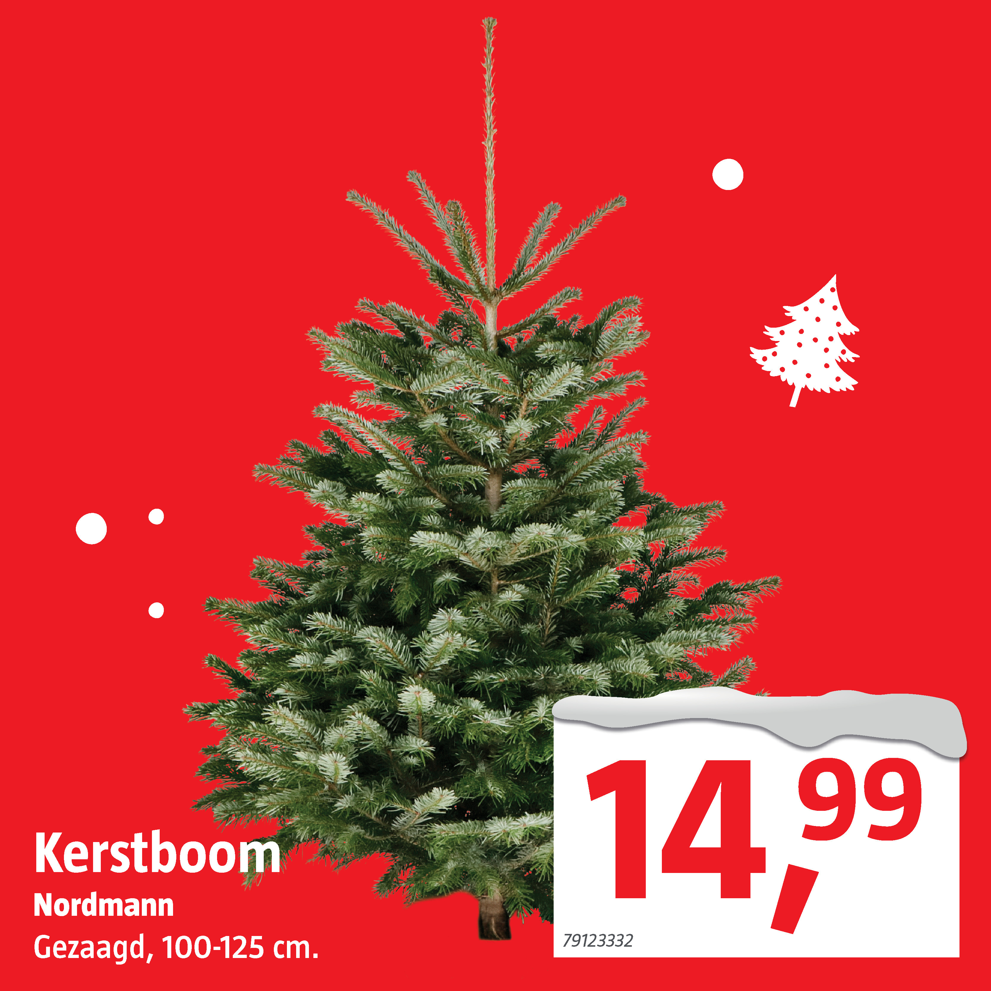Nordmann Kerstboom