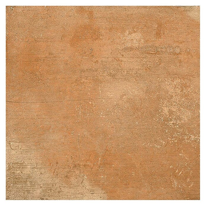 Tau ceramica Keramische tegel Terracotta Cotto (33,3 x 33,3 cm, Bruin, Mat) | BAUHAUS