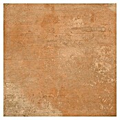 Tau ceramica Keramische tegel Terracotta Cotto (33,3 x 33,3 cm, Bruin, Mat) | BAUHAUS