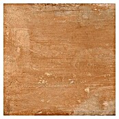 Tau ceramica Keramische tegel Terracotta Cotto (33,3 x 33,3 cm, Bruin, Mat) | BAUHAUS