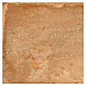 Tau ceramica Keramische tegel Terracotta Cotto (33,3 x 33,3 cm, Bruin, Mat) | BAUHAUS
