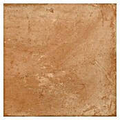Tau ceramica Keramische tegel Terracotta Cotto (33,3 x 33,3 cm, Bruin, Mat) | BAUHAUS