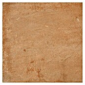 Tau ceramica Keramische tegel Terracotta Cotto (33,3 x 33,3 cm, Bruin, Mat) | BAUHAUS