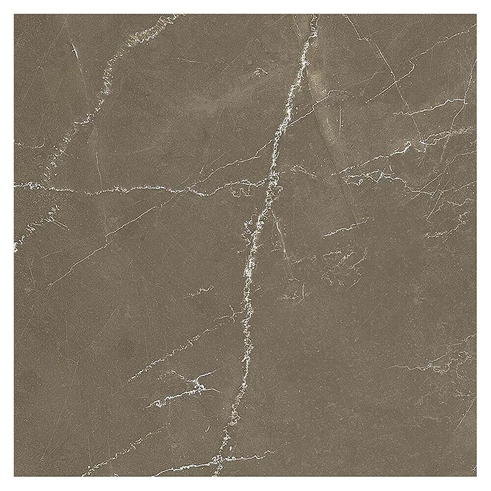 Tau ceramica Keramische tegel Crotone Umber (60 x 60 cm, Bruin, Mat) | BAUHAUS