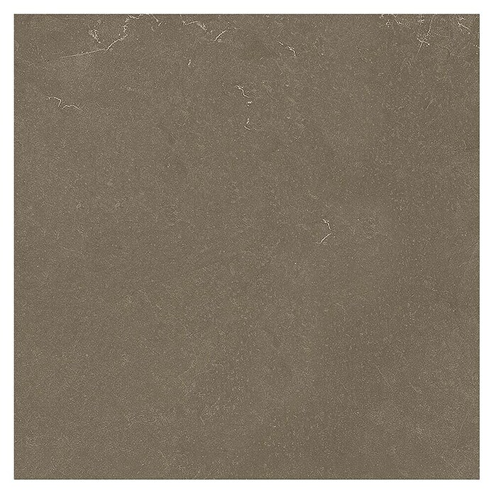 Tau ceramica Keramische tegel Crotone Umber (60 x 60 cm, Bruin, Mat) | BAUHAUS