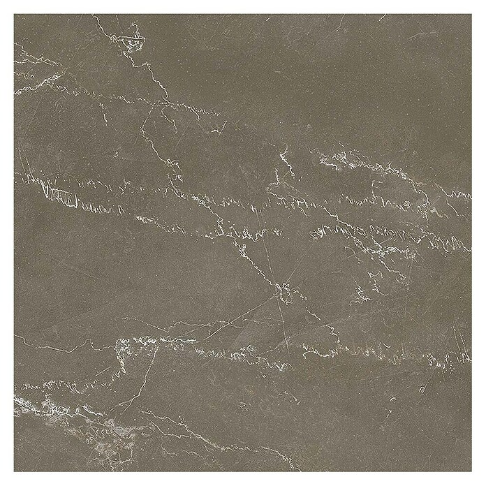 Tau ceramica Keramische tegel Crotone Umber (60 x 60 cm, Bruin, Mat) | BAUHAUS