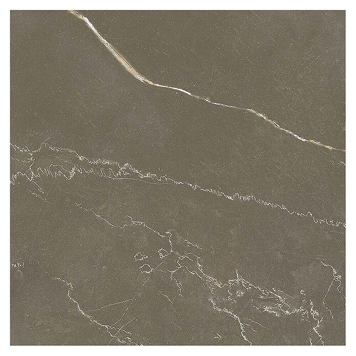Tau ceramica Keramische tegel Crotone Umber (60 x 60 cm, Bruin, Mat) | BAUHAUS