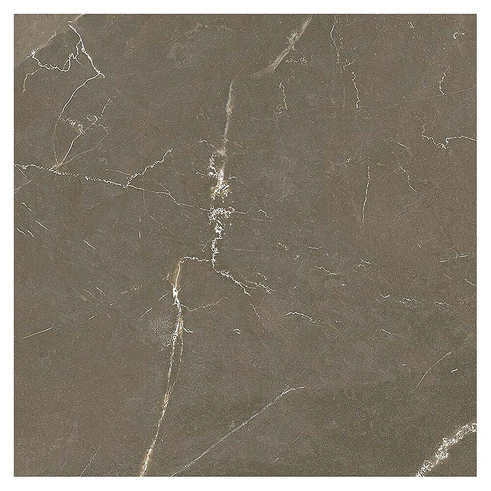 Tau ceramica Keramische tegel Crotone Umber (60 x 60 cm, Bruin, Mat) | BAUHAUS