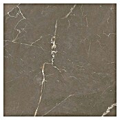 Tau ceramica Keramische tegel Crotone Umber (60 x 60 cm, Bruin, Mat) | BAUHAUS