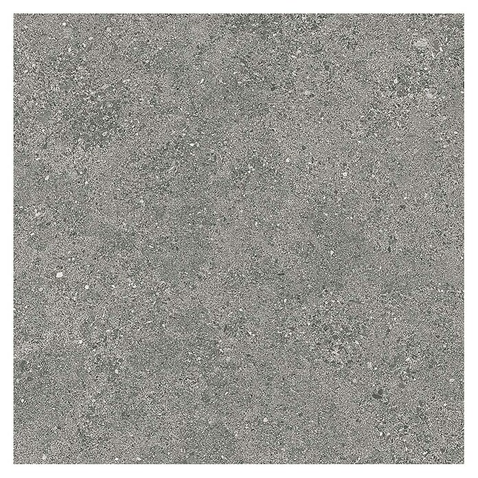 Tau ceramica Keramische tegel Roadstone Gray (60 x 60 cm, Gray, Mat) | BAUHAUS