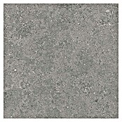 Tau ceramica Keramische tegel Roadstone Gray (60 x 60 cm, Gray, Mat) | BAUHAUS