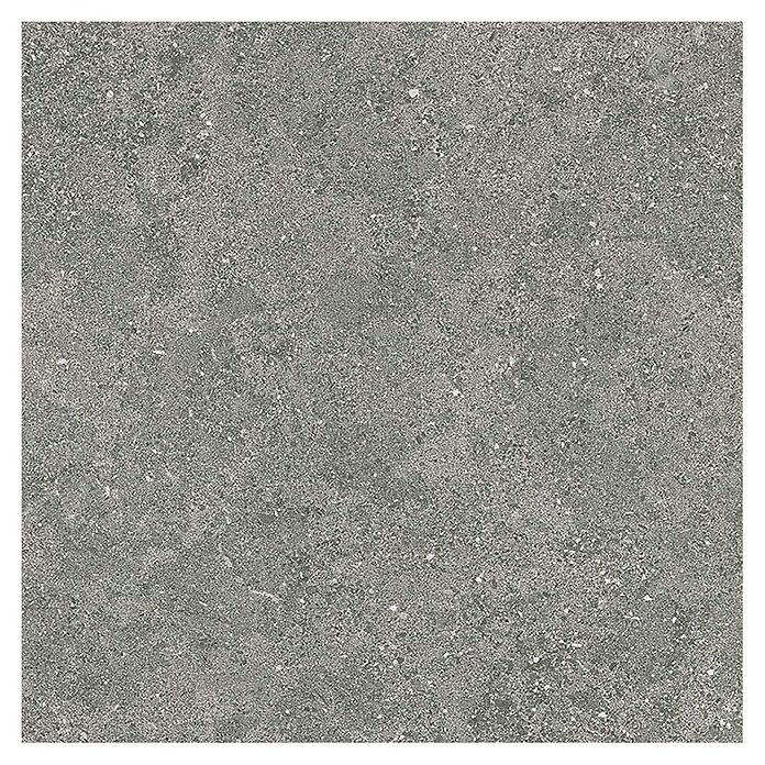 Tau ceramica Keramische tegel Roadstone Gray (60 x 60 cm, Gray, Mat) | BAUHAUS
