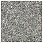 Tau ceramica Keramische tegel Roadstone Gray (60 x 60 cm, Gray, Mat) | BAUHAUS