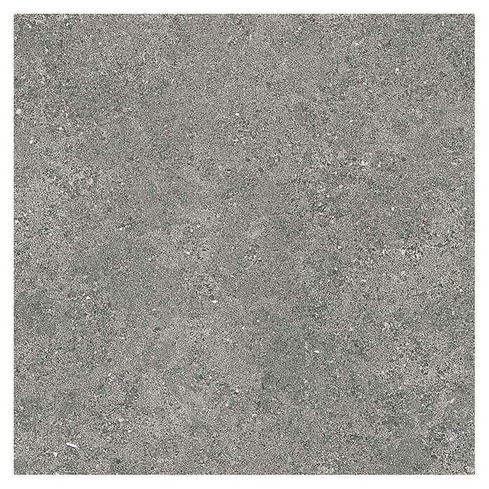 Tau ceramica Keramische tegel Roadstone Gray (60 x 60 cm, Gray, Mat) | BAUHAUS