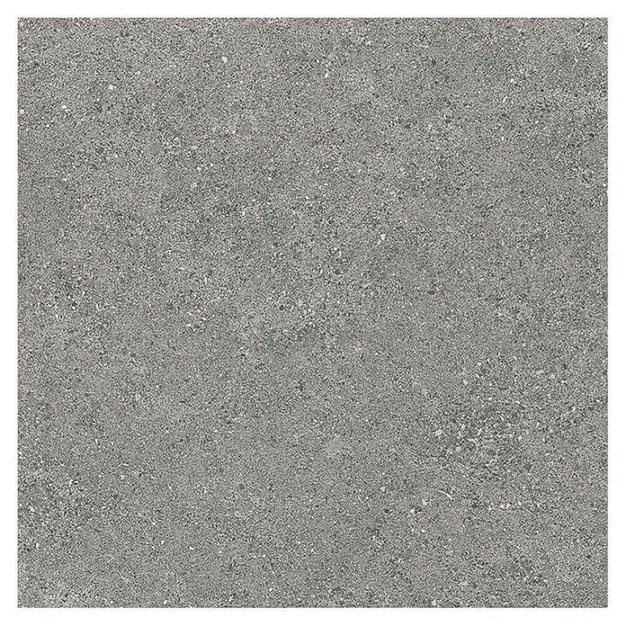Tau ceramica Keramische tegel Roadstone Gray (60 x 60 cm, Gray, Mat) | BAUHAUS