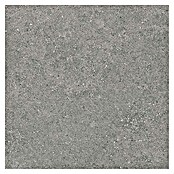 Tau ceramica Keramische tegel Roadstone Gray (60 x 60 cm, Gray, Mat) | BAUHAUS