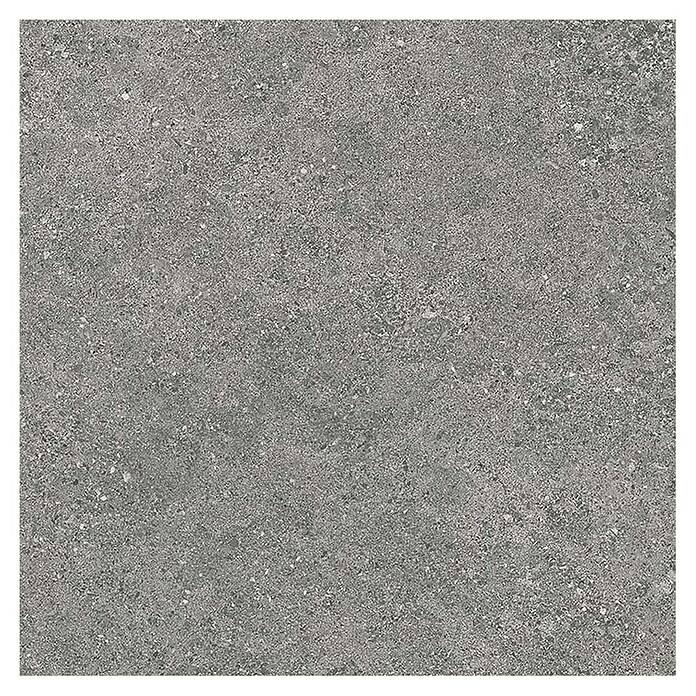 Tau ceramica Keramische tegel Roadstone Gray (60 x 60 cm, Gray, Mat) | BAUHAUS