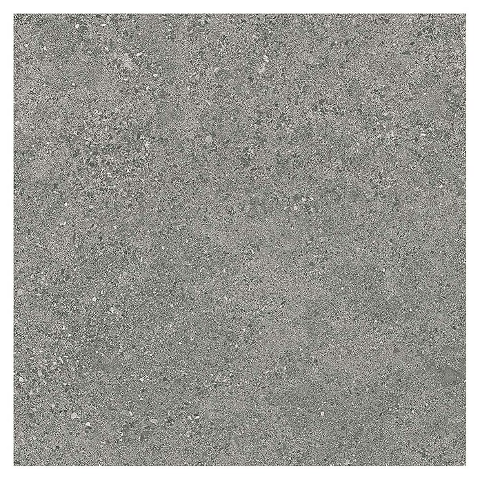 Tau ceramica Keramische tegel Roadstone Gray (60 x 60 cm, Gray, Mat) | BAUHAUS