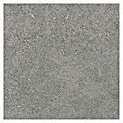 Tau ceramica Keramische tegel Roadstone Gray (60 x 60 cm, Gray, Mat) | BAUHAUS