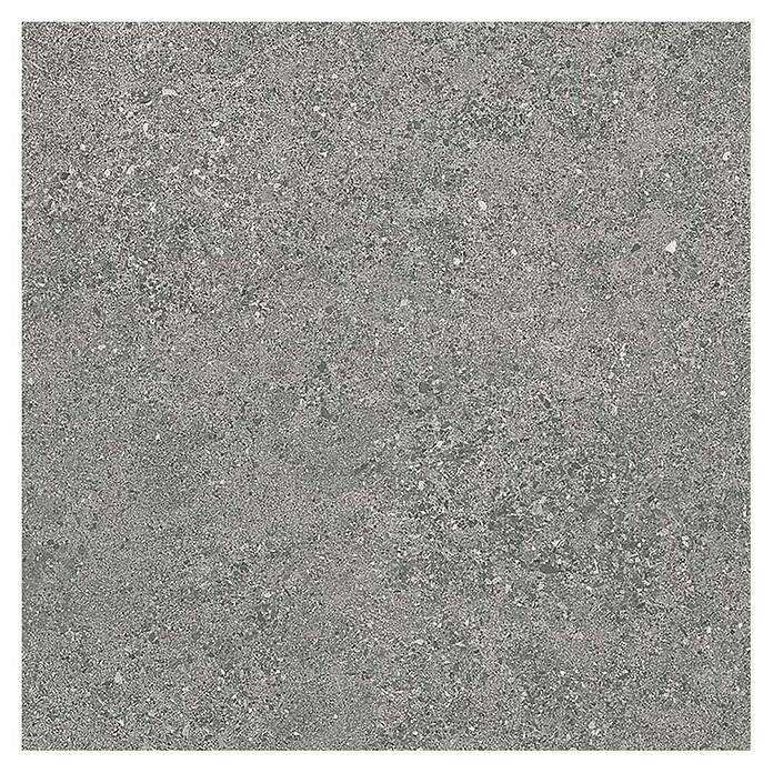 Tau ceramica Keramische tegel Roadstone Gray (60 x 60 cm, Gray, Mat) | BAUHAUS