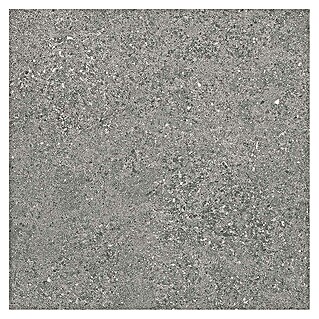 Tau ceramica Keramische tegel Roadstone Gray (60 x 60 cm, Gray, Mat)