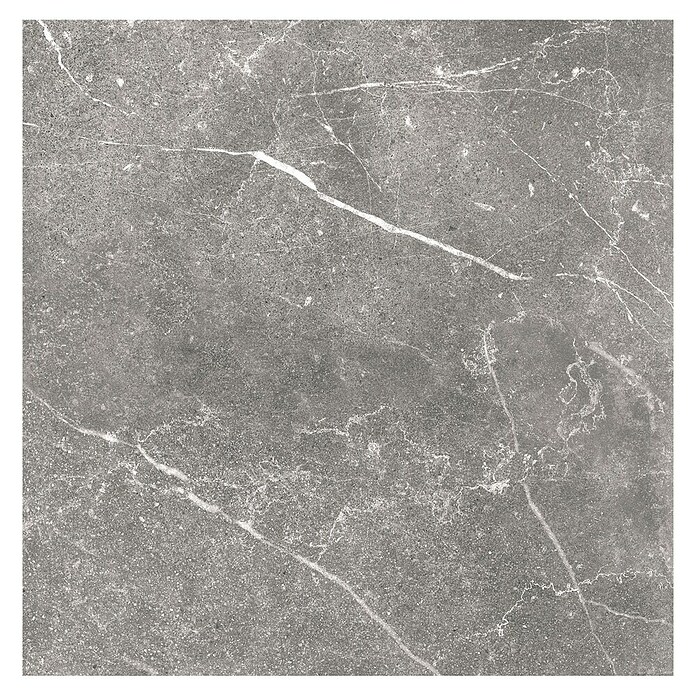 Tau ceramica Keramische tegel Soapstone Gray (60 x 60 cm, Gray, Mat) | BAUHAUS