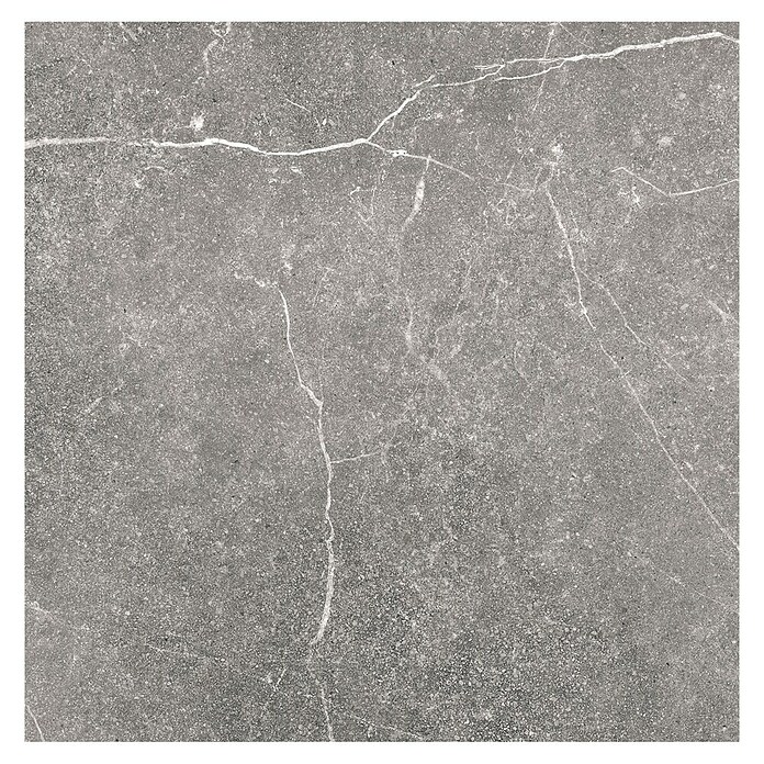 Tau ceramica Keramische tegel Soapstone Gray (60 x 60 cm, Gray, Mat) | BAUHAUS