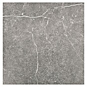 Tau ceramica Keramische tegel Soapstone Gray (60 x 60 cm, Gray, Mat) | BAUHAUS