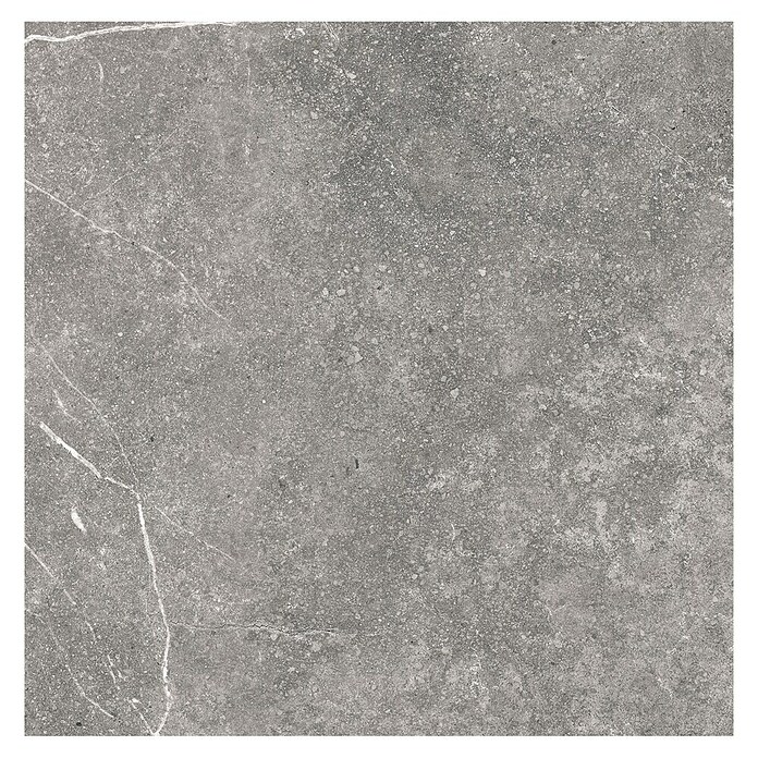 Tau ceramica Keramische tegel Soapstone Gray (60 x 60 cm, Gray, Mat) | BAUHAUS
