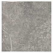 Tau ceramica Keramische tegel Soapstone Gray (60 x 60 cm, Gray, Mat) | BAUHAUS