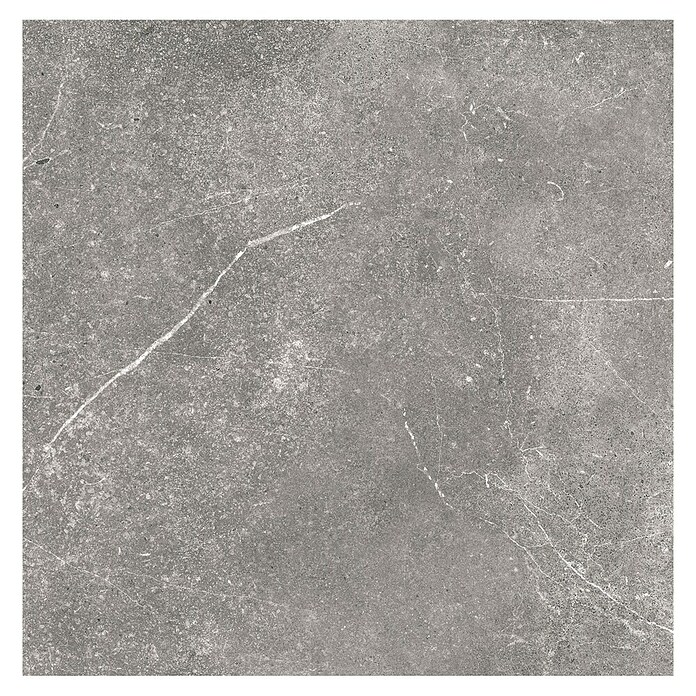 Tau ceramica Keramische tegel Soapstone Gray (60 x 60 cm, Gray, Mat) | BAUHAUS