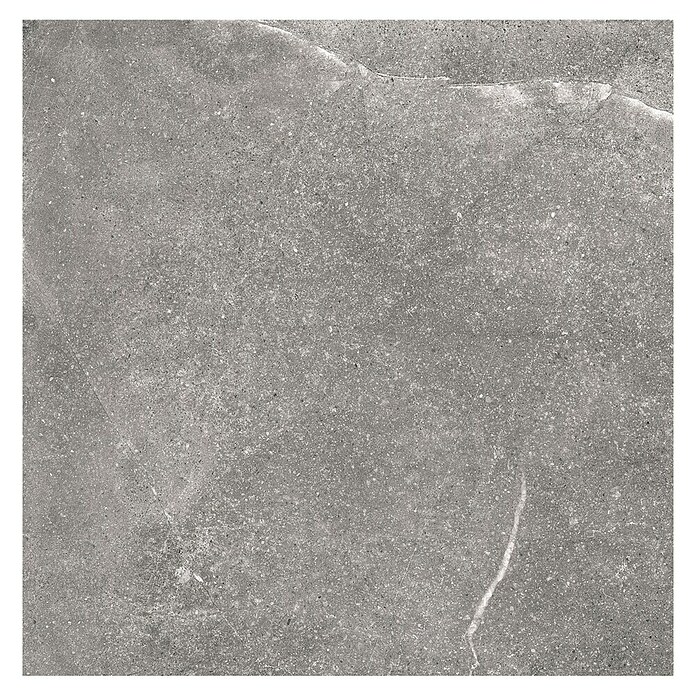 Tau ceramica Keramische tegel Soapstone Gray (60 x 60 cm, Gray, Mat) | BAUHAUS