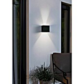 Eglo Aplique exterior LED Barcarola-E (4,5 W, 10,5 x 10,5 x 10 cm, Negro, IP44, Blanco neutro) | BAUHAUS