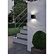 Eglo Aplique exterior LED Barcarola-E (4,5 W, 10,5 x 10,5 x 10 cm, Negro, IP44, Blanco neutro) | BAUHAUS