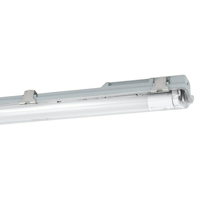 Eglo Plafón para pared y techo Basic Plus 1 (23 W, Blanco, Blanco neutro, 156 cm, 7,3 cm) | BAUHAUS