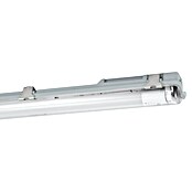 Eglo Plafón para pared y techo Basic Plus 1 (23 W, Blanco, Blanco neutro, 156 cm, 7,3 cm) | BAUHAUS