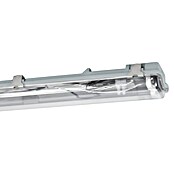 Eglo Svetilka za vlažne prostore Basic Plus  (46 W, Siva, Nevtralno bela, 156 cm, 9,9 cm) | 3095 - Kellerlicht | CAKA - Zweckleuchten | CAK - Technisches Licht | CA - Beleuchtung | C - Elektro | BAUHAUS