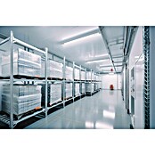 Eglo Svetilka za vlažne prostore Slim  (48 W, Do x Š x V: 155 x 5,8 x 5,5 cm, Bela, Nevtralno bela) | 3095 - Kellerlicht | CAKA - Zweckleuchten | CAK - Technisches Licht | CA - Beleuchtung | C - Elektro | BAUHAUS