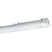 Eglo Regleta estanca Basic 2 (30 W, Blanco, Blanco neutro, 126 cm, 9,9 cm) | BAUHAUS