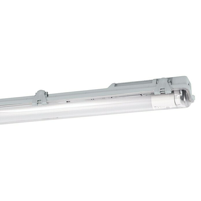 Eglo Regleta estanca Basic 1 (23 W, Blanco, Blanco neutro, 156 cm, 7,3 cm) | BAUHAUS